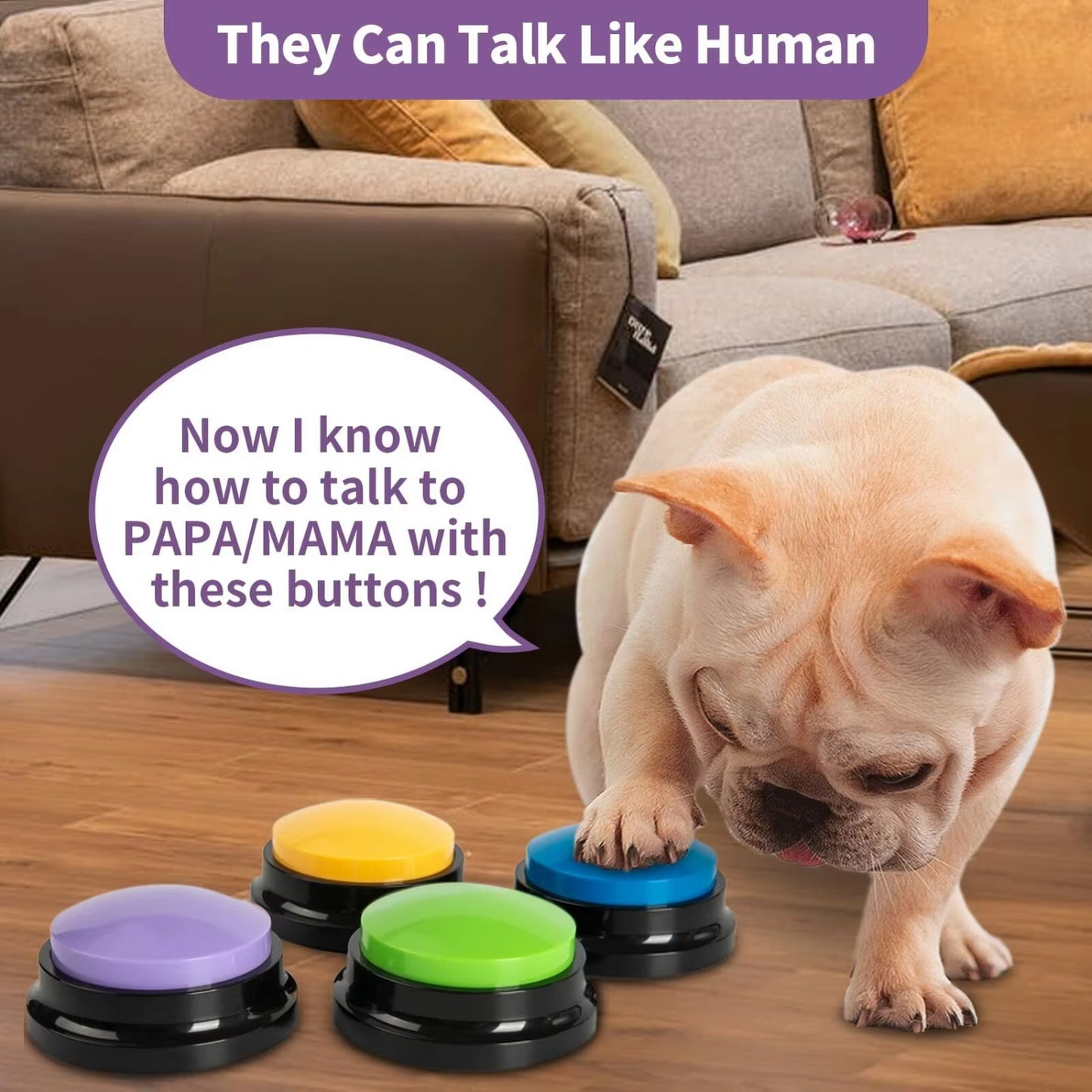 Pet Communication Training Aid