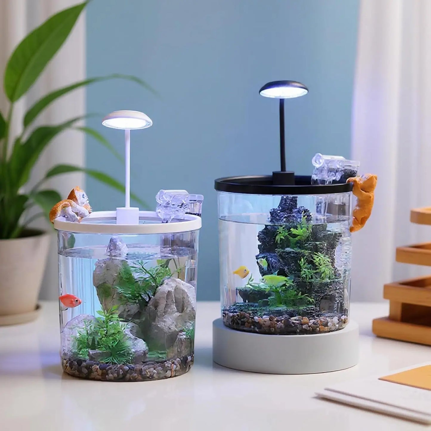 1.5 Gal Betta Fish Tank Starter Kit