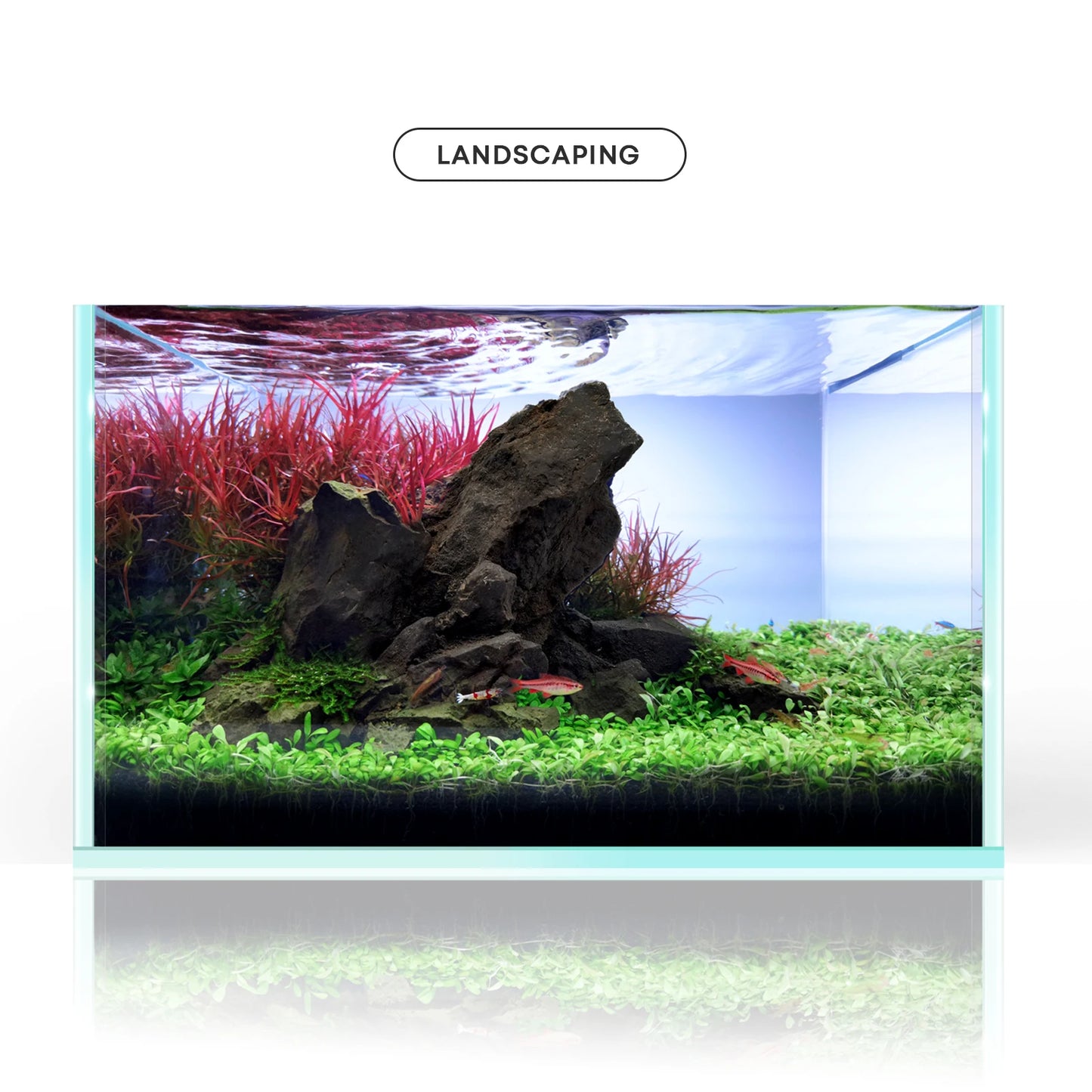 Aquarium Stone and Driftwood Landscape Ornament