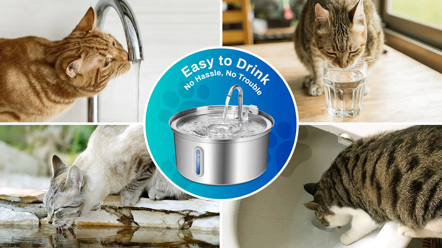 Stainless Steel Cat Water Fountain