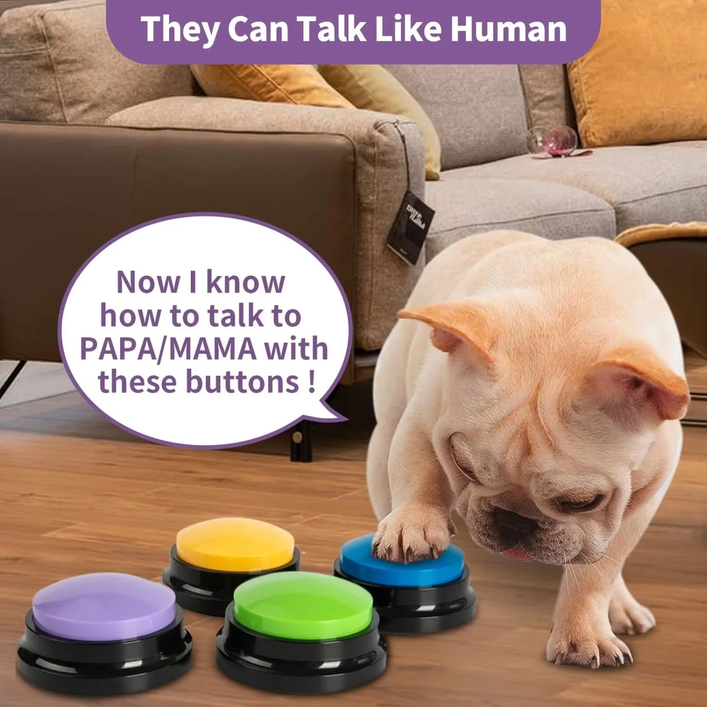 Pet Communication Training Aid