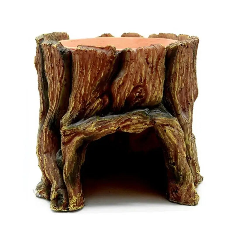 Tree Trunk Reptile habitat
