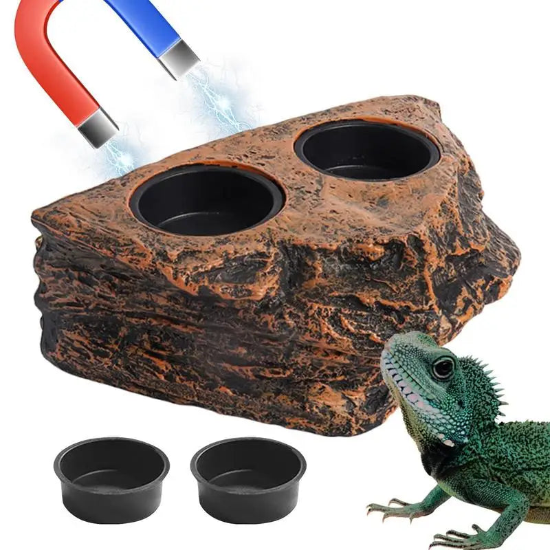 Water Dish For Reptile Habitat