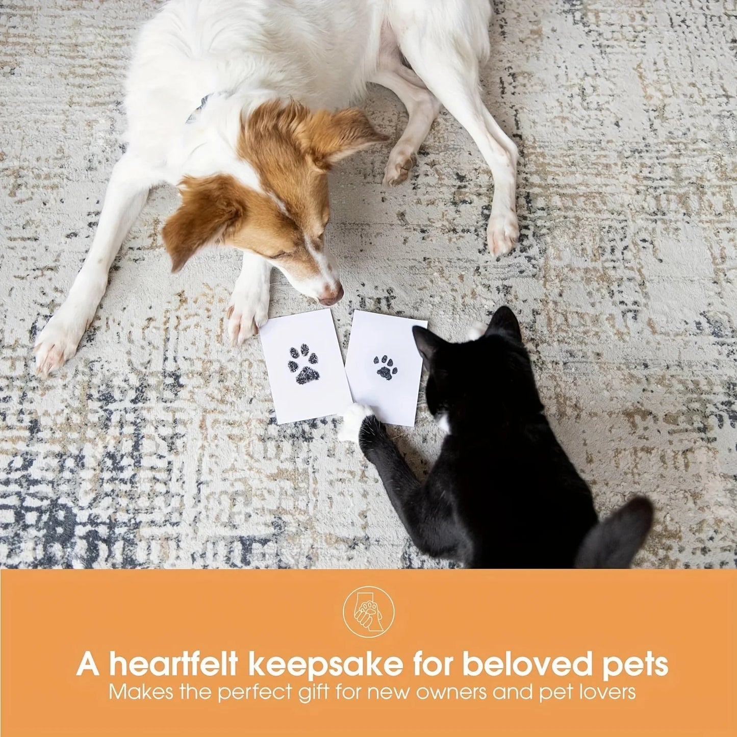 Pet Paw Print Impression Kit