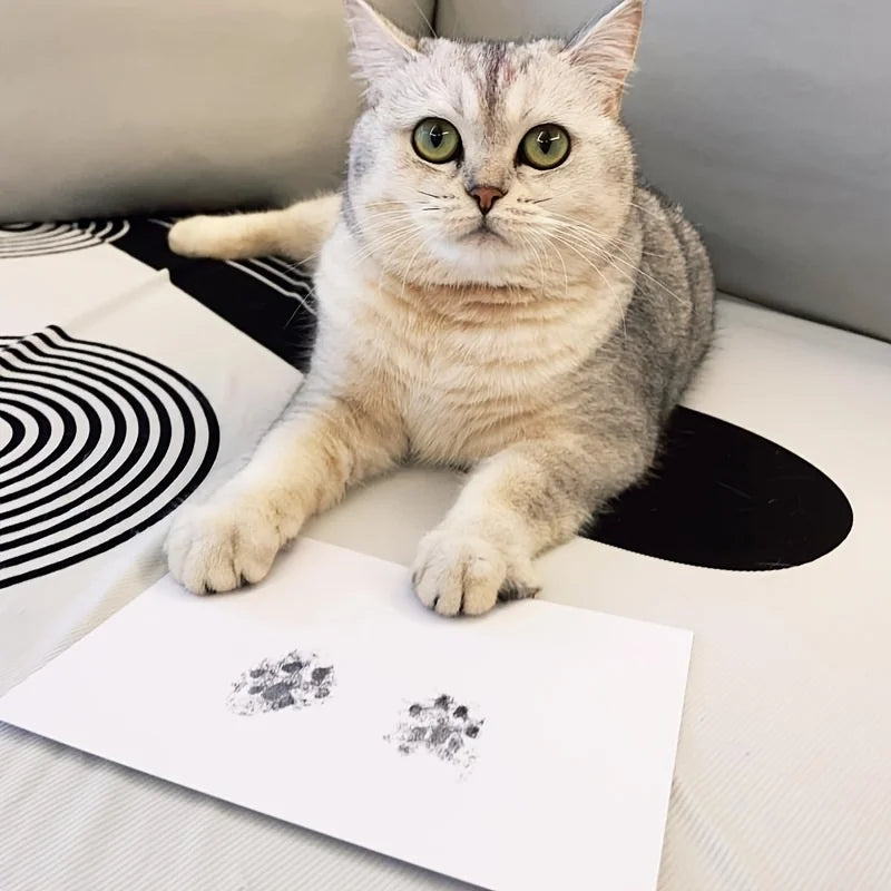 Pet Paw Print Impression Kit