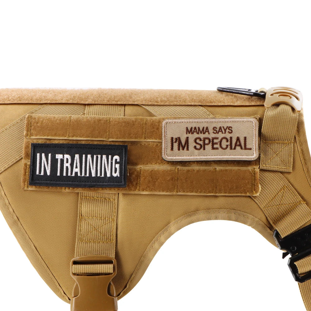 12 Pieces Tactical Patch Bundle For Dog Vest