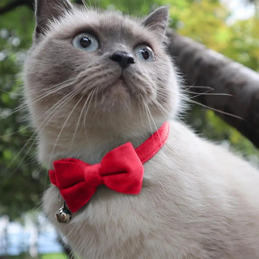 Pet Bow Tie Collars