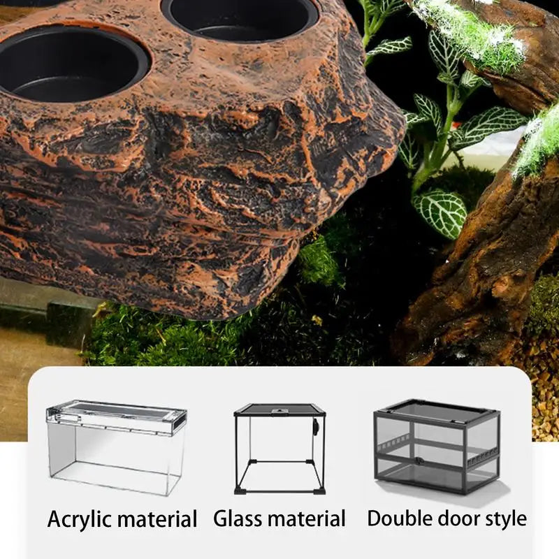 Water Dish For Reptile Habitat