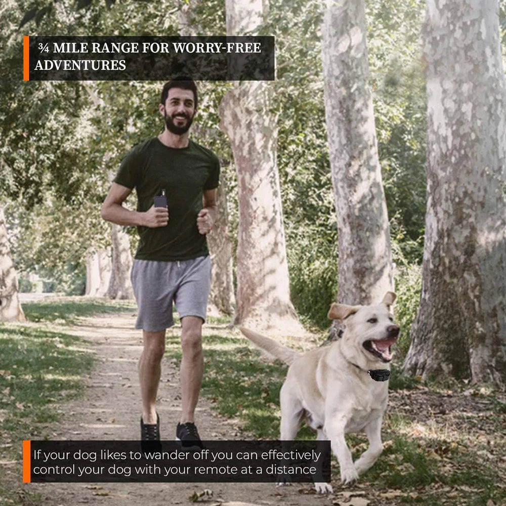 Wireless Dog Fence System