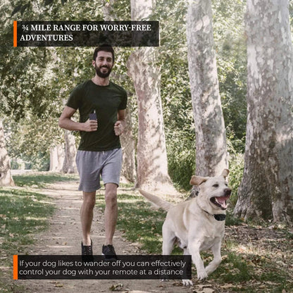 Wireless Dog Fence System