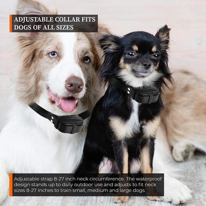 Wireless Dog Fence System