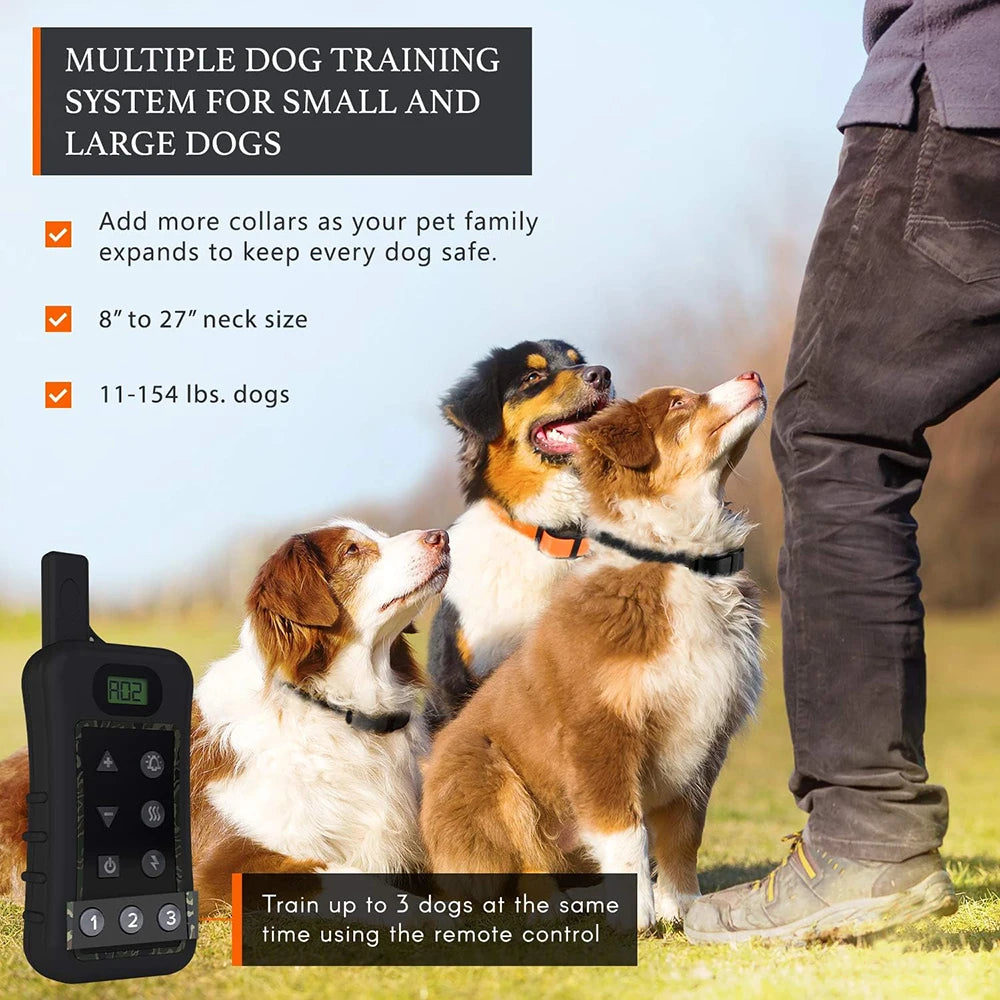 Wireless Dog Fence System