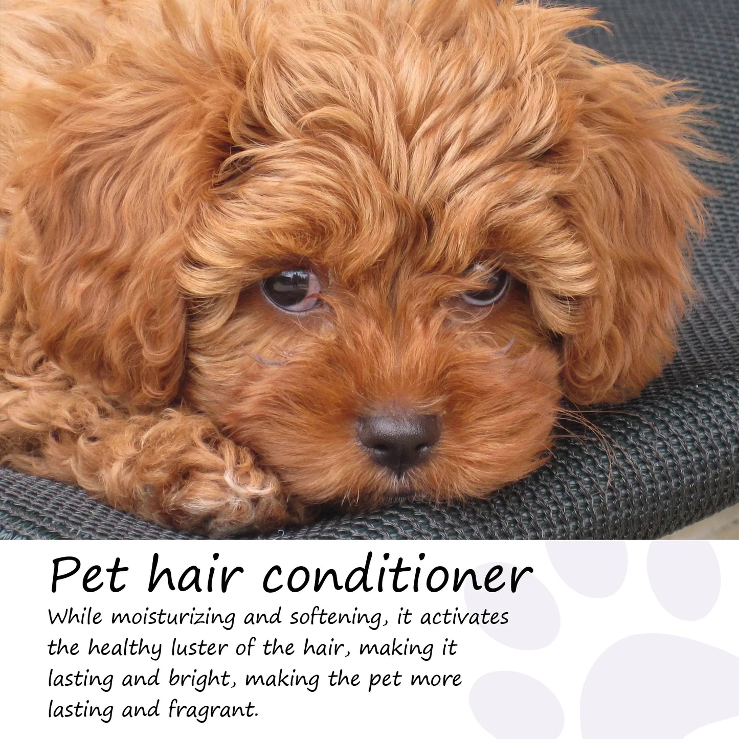 Pet Hair Conditioner