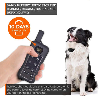 Wireless Dog Fence System