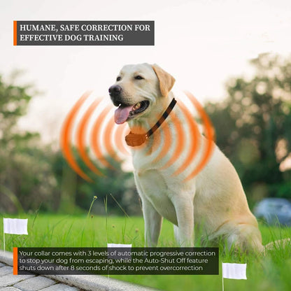 Wireless Dog Fence System