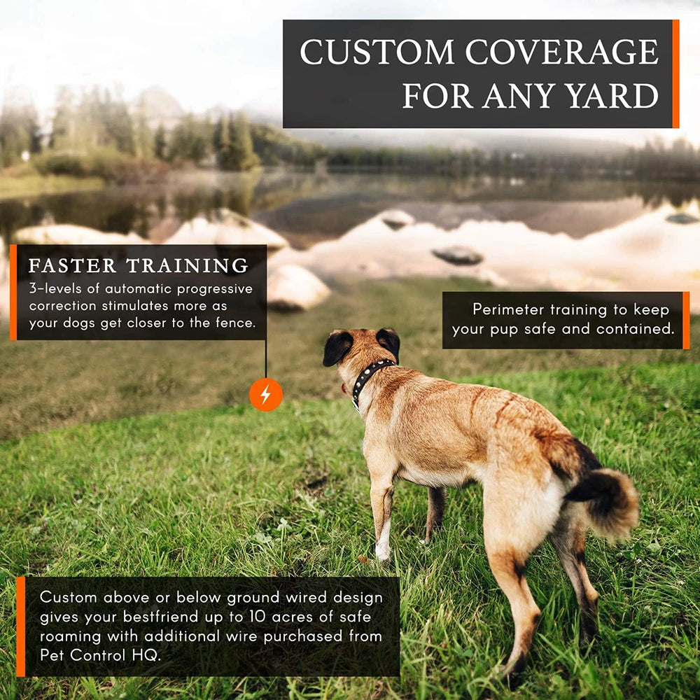 Wireless Dog Fence System