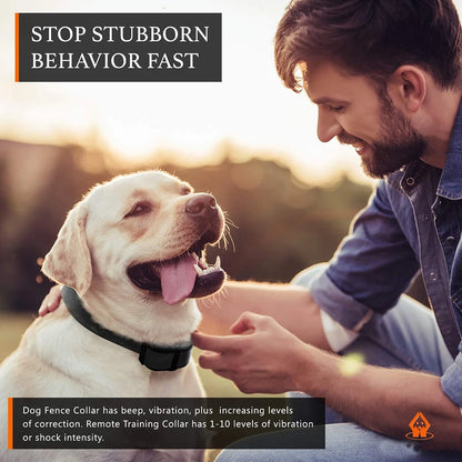 Wireless Dog Fence System