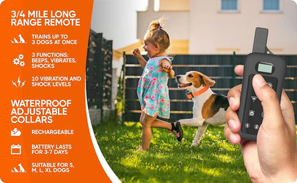 Wireless Dog Fence System