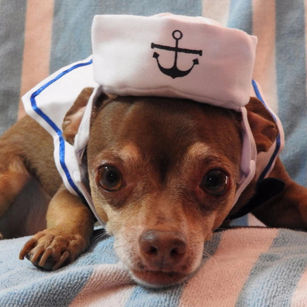 Sailor Style Hat Plus Scarf Halloween costume for Dogs or cats