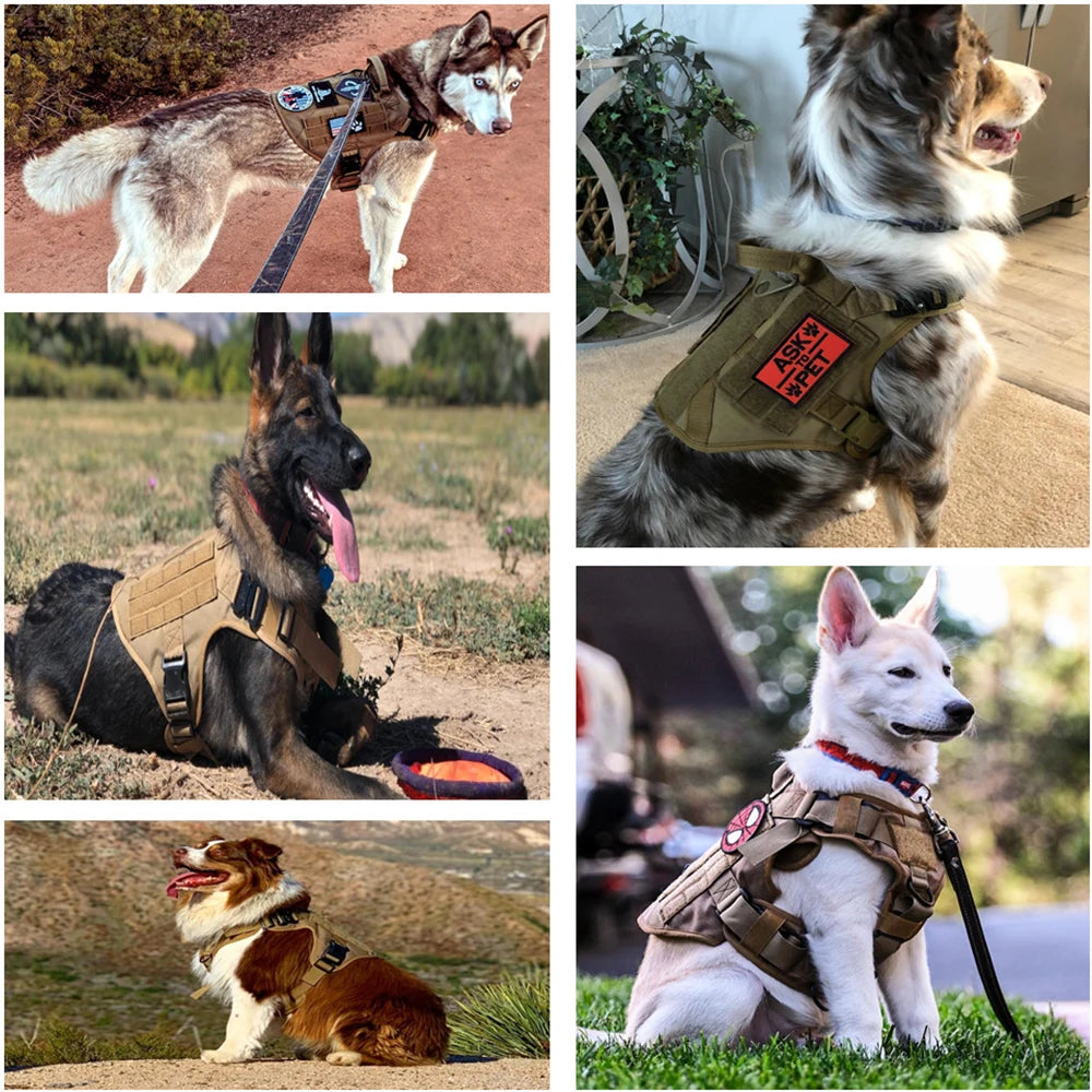 Military Style Large Dog Harness Collar & Accessories