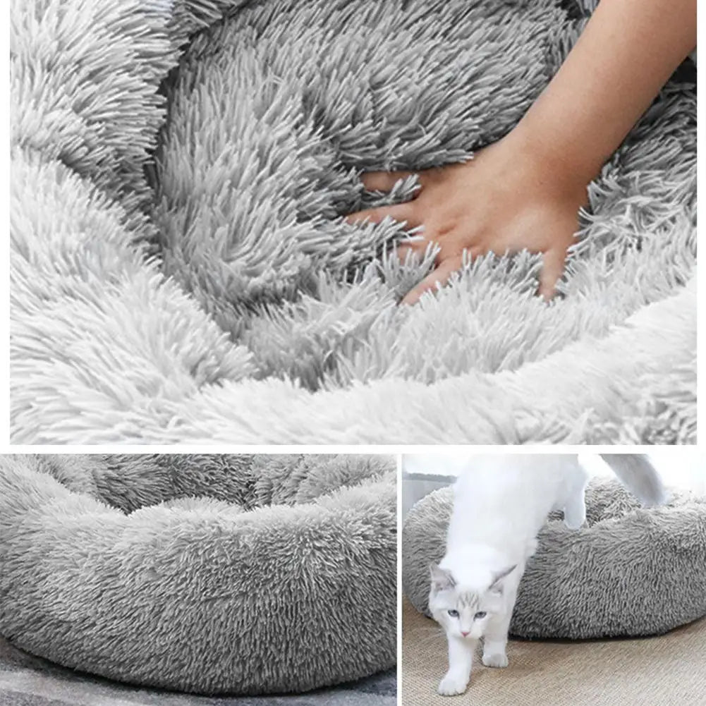 Heated Pet Bed
