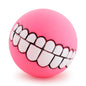 Big Teeth Ball for Dogs