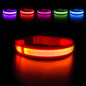 Luminous Dog Collar