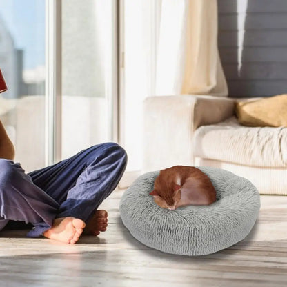 Heated Pet Bed