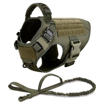 Training/Walking Vest  Set for Medium to Large Dogs