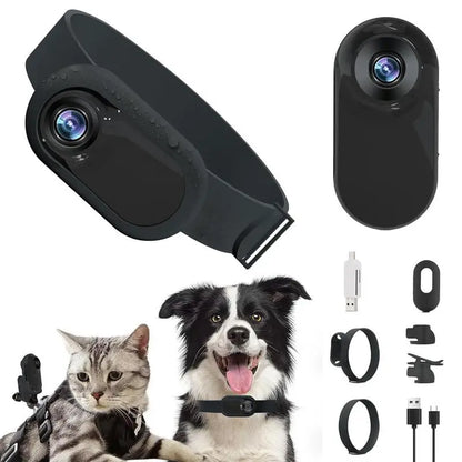 Outdoor Wireless Camera Pet Collar