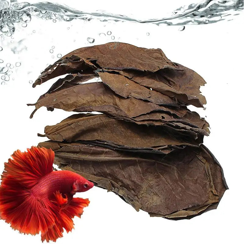 Aquarium Tank Accessories