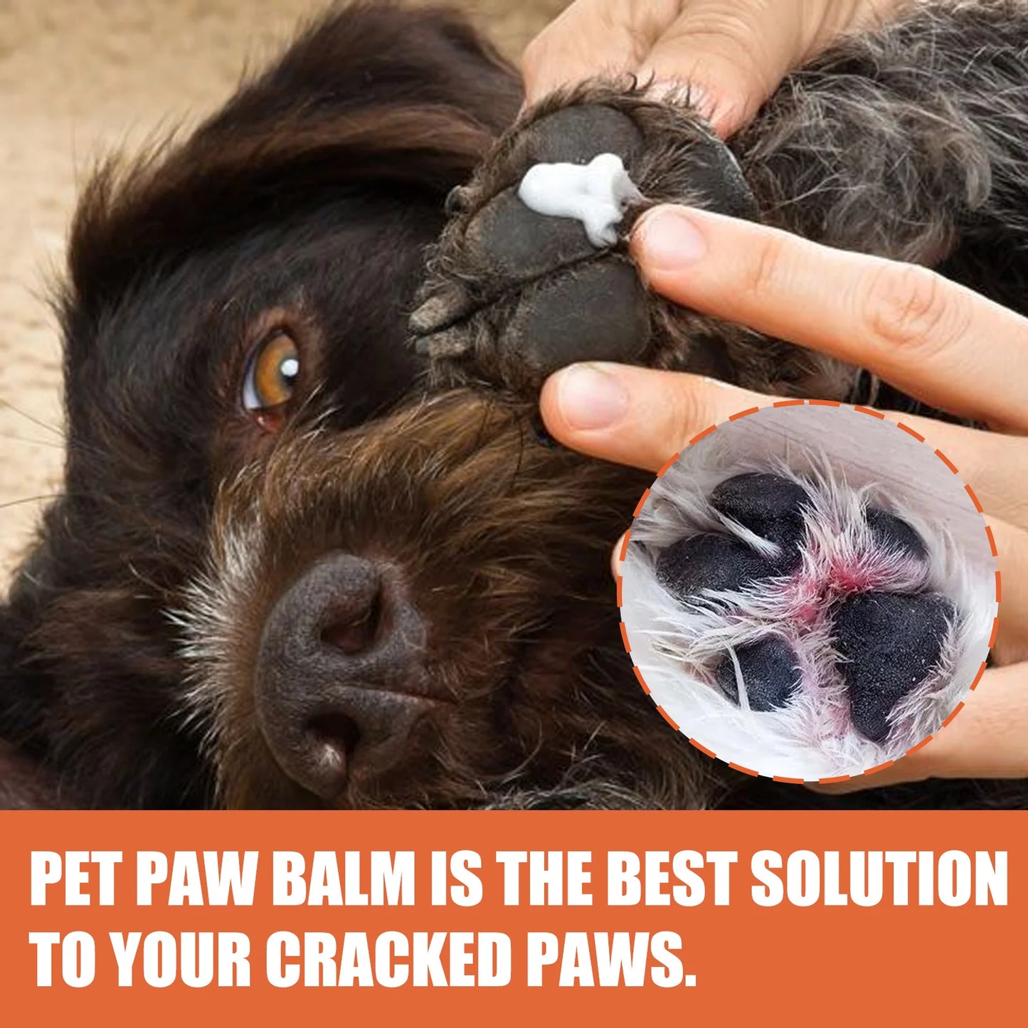 Pet Paw Cream