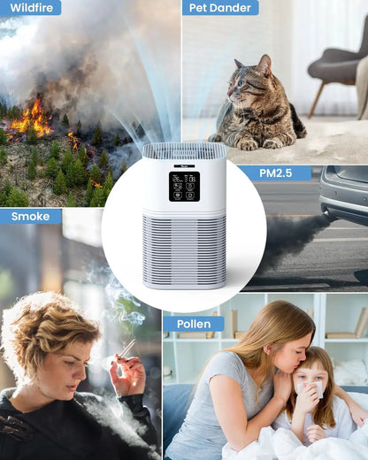 2 in 1 Air Purifier