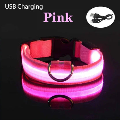 USB Rechargeable LED Dog Collar