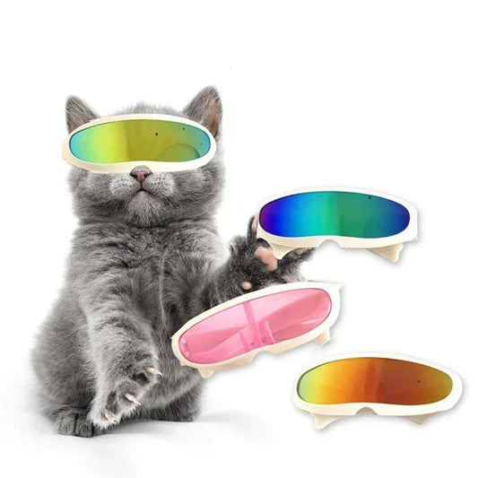 Cool Pet Goggles/Sunglasses