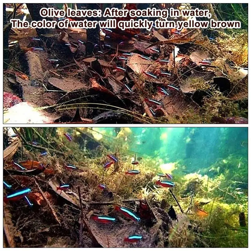 Aquarium Tank Accessories