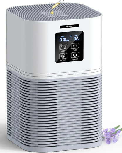 2 in 1 Air Purifier