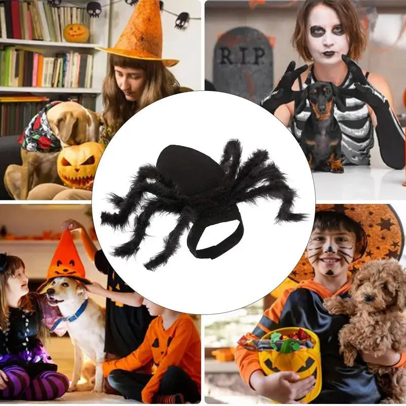 Halloween Spider Costume For Dogs