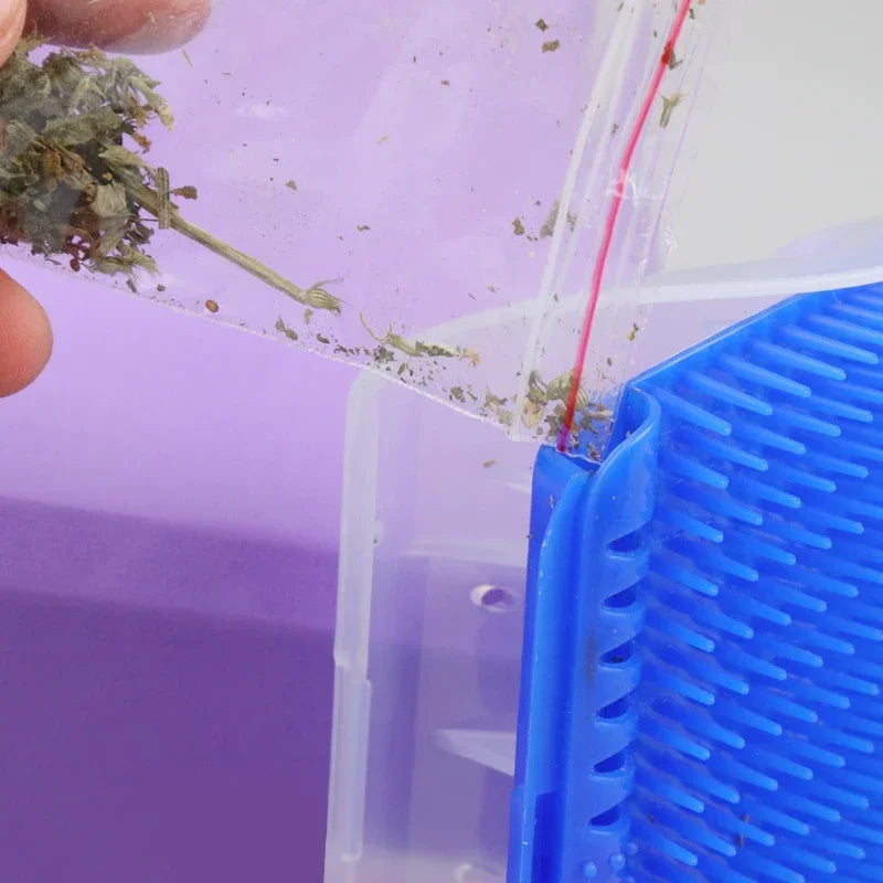 Removable Grooming Brush