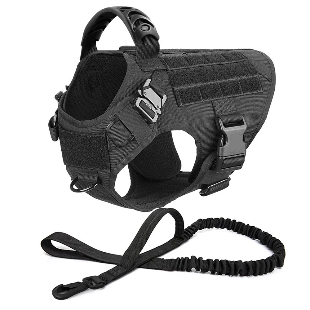 Training/Walking Vest  Set for Medium to Large Dogs