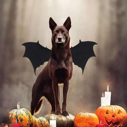 Halloween Bat Wings Costume for Pets