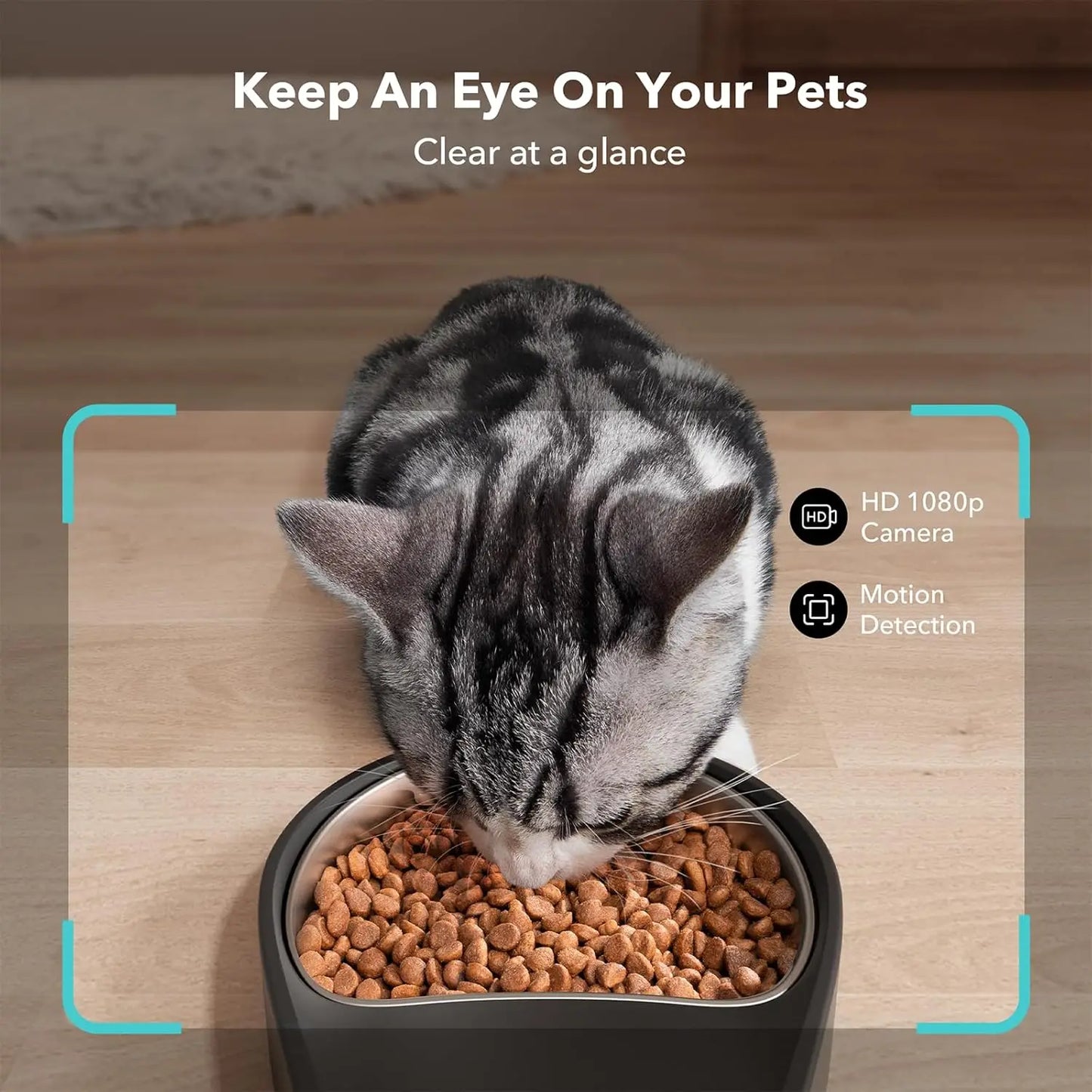 Automatic Cat Feeder with Camera