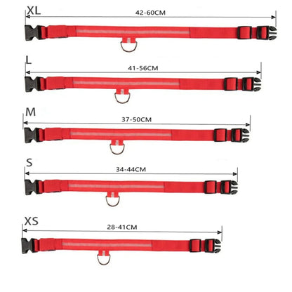 USB Rechargeable LED Dog Collar