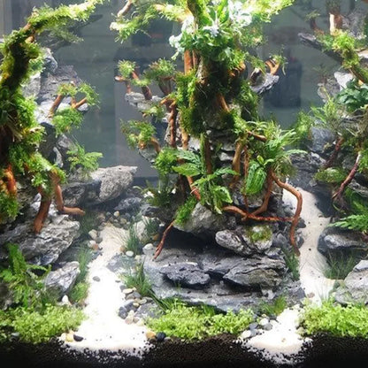 Aquarium Landscape Ornaments