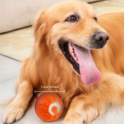 Smart Pet Interactive Toy Ball