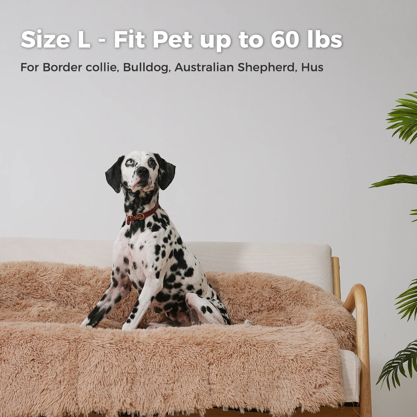 XL Fluffy Dog Bed