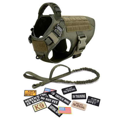 Military Style Large Dog Harness Collar & Accessories