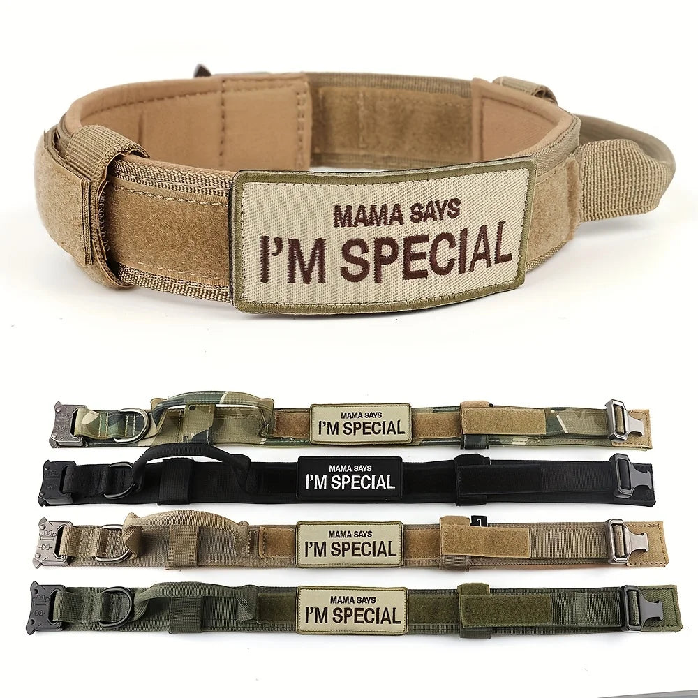 Military Style Large Dog Harness Collar & Accessories
