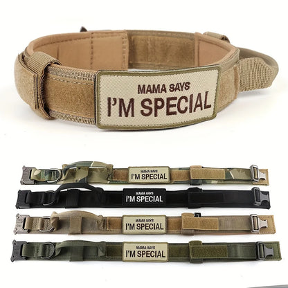 Military Style Large Dog Harness Collar & Accessories
