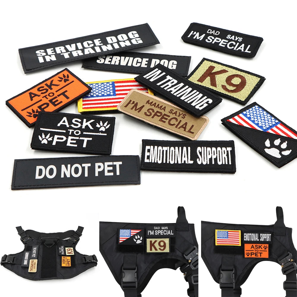 Military Style Large Dog Harness Collar & Accessories